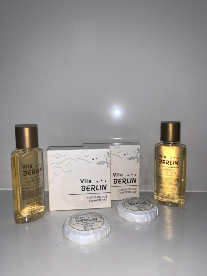 Vila Berlin Otel Poiana Braşov Dış mekan fotoğraf