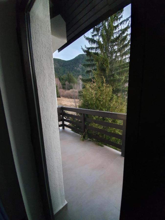 Vila Berlin Otel Poiana Braşov Dış mekan fotoğraf