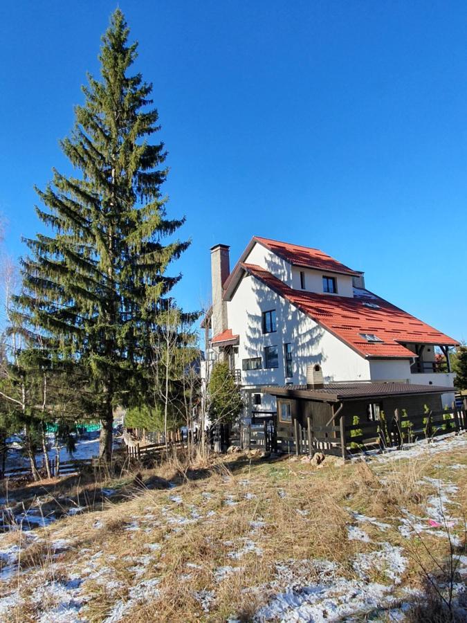 Vila Berlin Otel Poiana Braşov Dış mekan fotoğraf